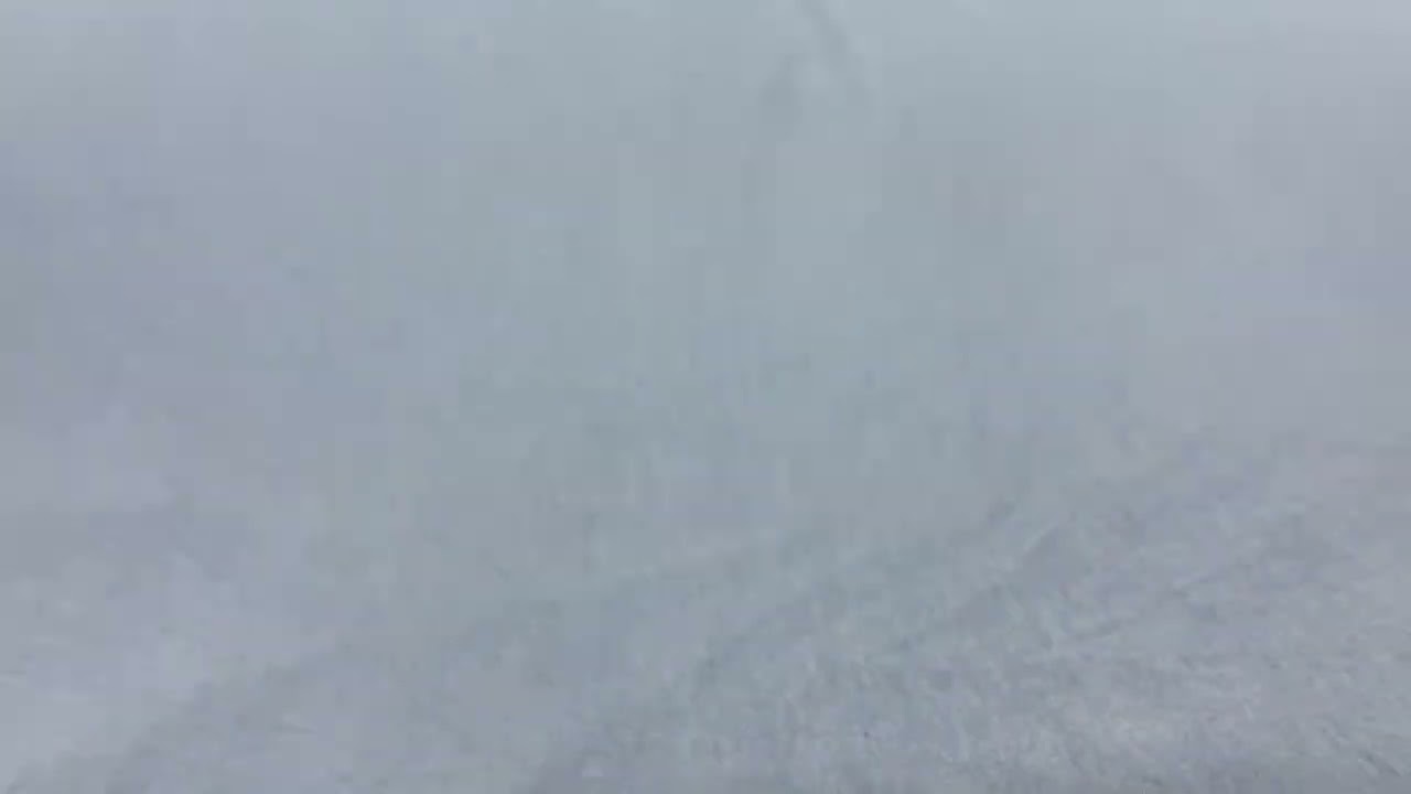 Cotton Chambray- Bluebell 