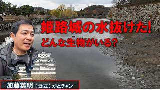 姫路城！堀の水を抜いてキレイに！国特別史跡 Himeji Castle, JAPAN ≫ 加藤英明【公式】かとチャン