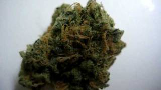 Blue Dream