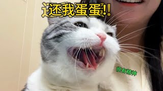 咪不知道自己生病了，就想毆打嘎蛋醫生…