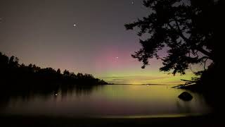 Omega Vibes - Renaissance Dream Housetrance