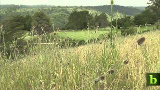 Golf Course Managers Bring Sustainability to the Links