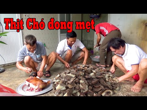 mua chó hà nội 2022 Xóm ven sông chơi lớn.Thịt Cầy 30 kg Có Giáo Sư về làm đầu bếp