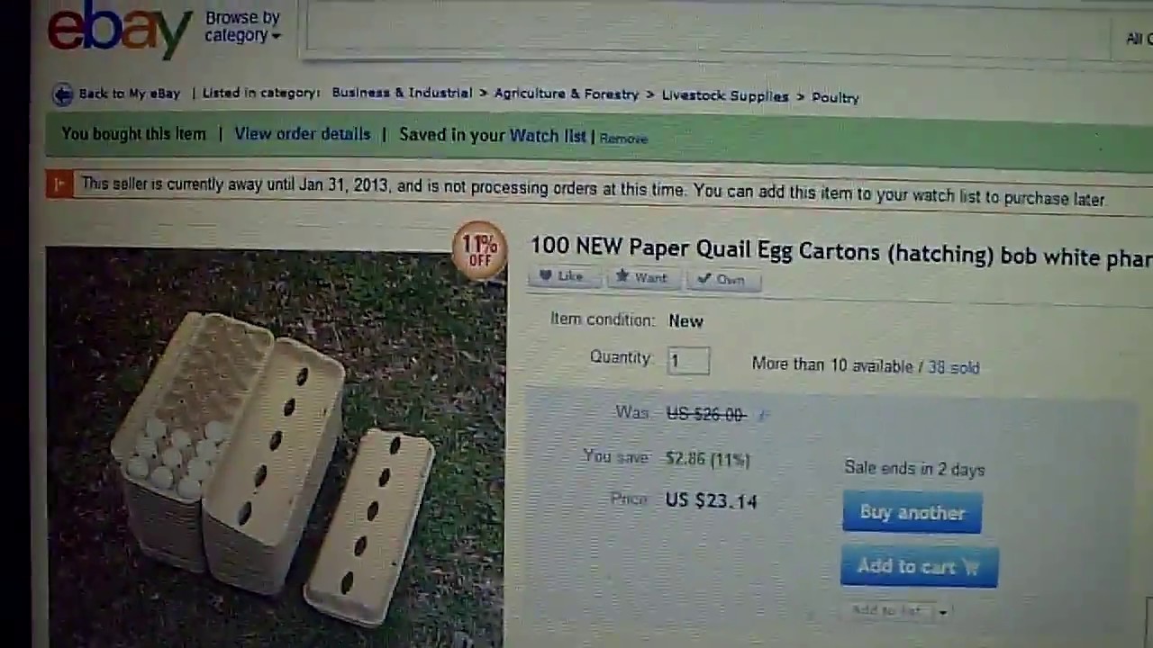 Ebay Notification That I Found ) YouTube