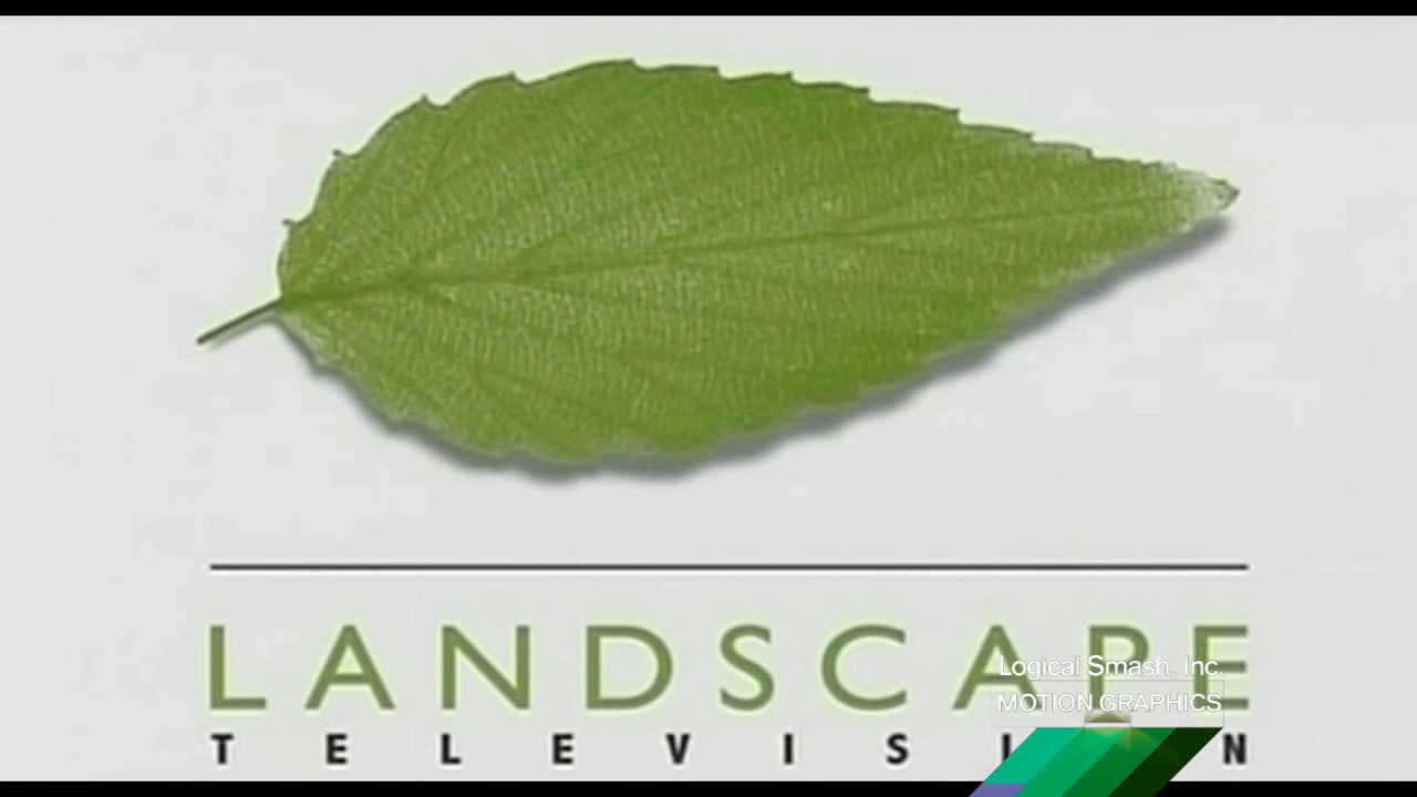 Landscape Television/NBC Universal Television Studio/Paramount