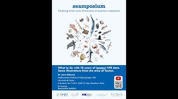 What to do with 10 years of (gappy) HFR data. Some illustrations from the area of Toulon