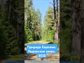 Карелия. Ладога. 2025 г. #travel #озеро #лето #карелия #природныепейзажи #красота #море