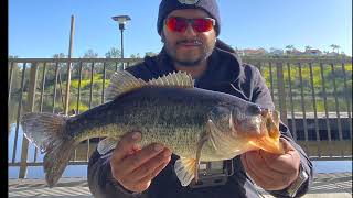 Laguna Niguel Fishing 2023 (Sulpher Creek)