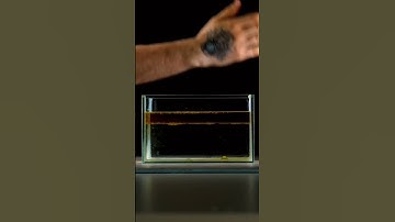 light reflection and refraction experiment #shorts #viral #youtubeshorts