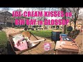 Five trains and two buses to enjoy Ice Cream Kisses on Bin Day in Glossop - Mike’s Missions