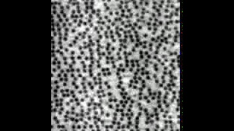 Shearing Triggers Odd Behavior in Particles