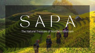Sapa - The Natural Treasure of Northern Vietnam | VietnamStay