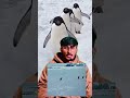 Penguin with lesson | kha gya penguin | 😭 kyu gya? Penguin