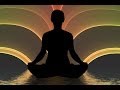 Healing Energy Meditation Music: Relax Mind Body with Calm Background Music and Nature Sounds ☯037