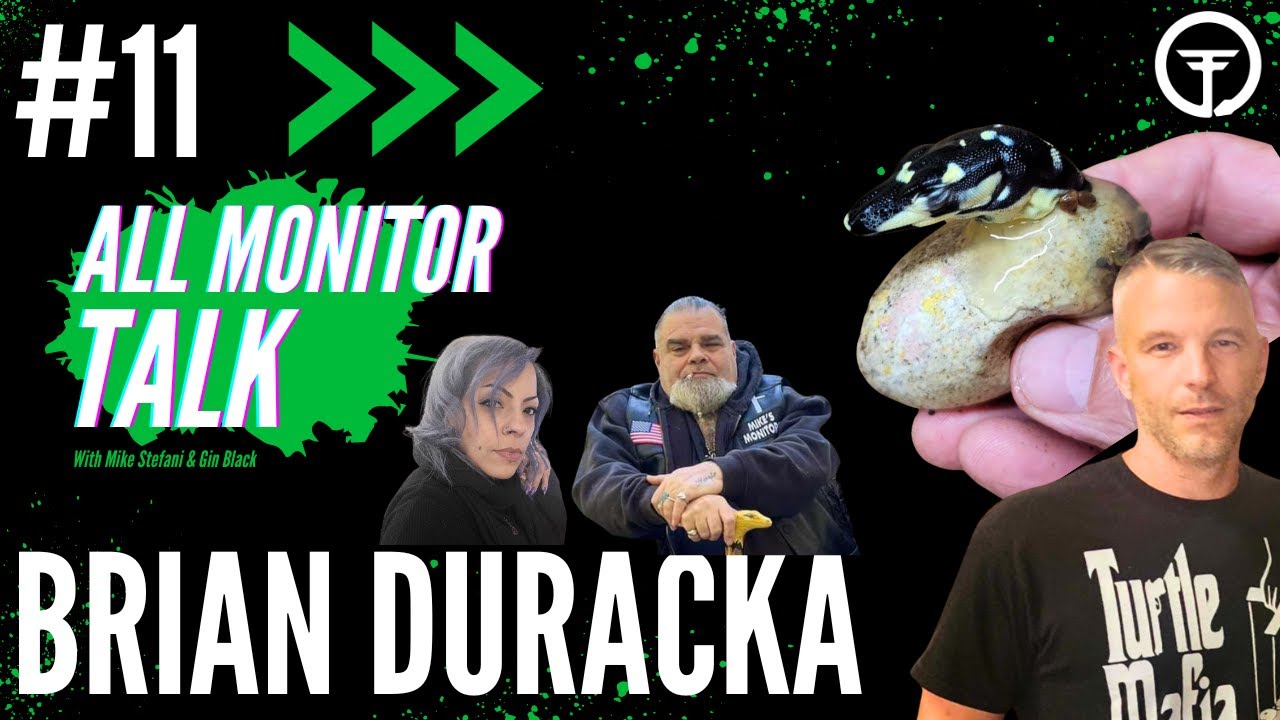 BRIAN DURACKA EXPLAINS BREEDING VARANUS...THE GOOD & THE BAD | ALL ...