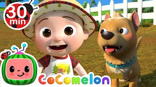 Bingo at the Farm! | CoComelon Furry Friends | Animals for Kids