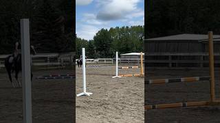 jumping 3 feet on Milo! #chasinghighs #3feet #lemieux #jumping #fypシ #fyp