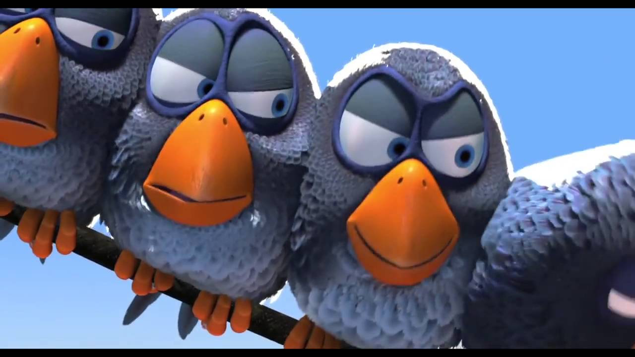 Birds Cartoon YouTube