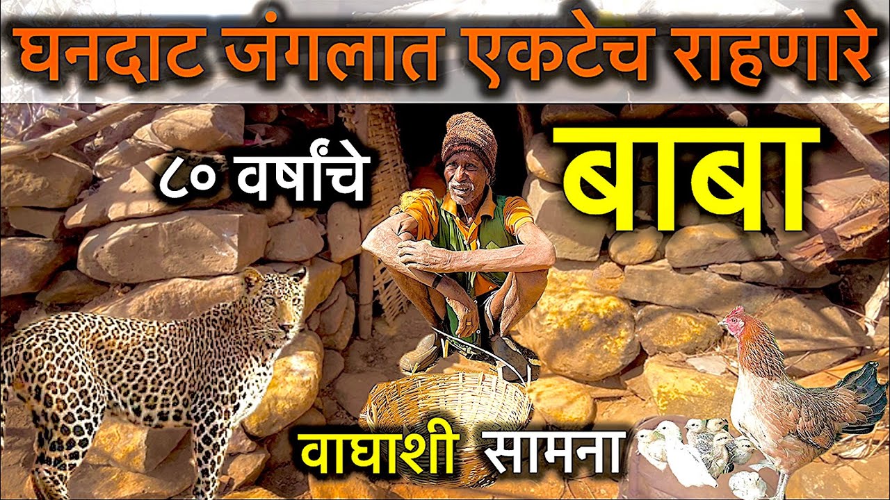 घनदाट जंगलात एकटेच राहणारे बाबा | वाघाशी सामना 🐆| वय ८० वर्षापेक्षा अधिक - खडतर जीवनप्रवास 😓