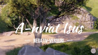 The Beuca Family - A-nviat Isus - [Negativ-Versuri]