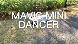 Coincidance - Mavic Mini Version