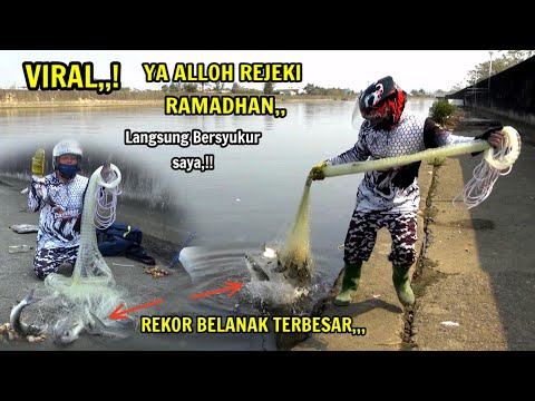 JALA IKAN belanak monster momen langka