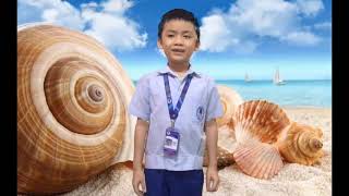 Performance Task 3 English Reading == SHORE ==