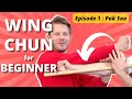 Best wing chun for beginners  simple and fast  episode 1 pak sao