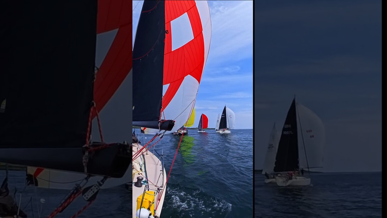 ⁣Watching these sailboats fight for the lead! #sailing #sailboat #racing
