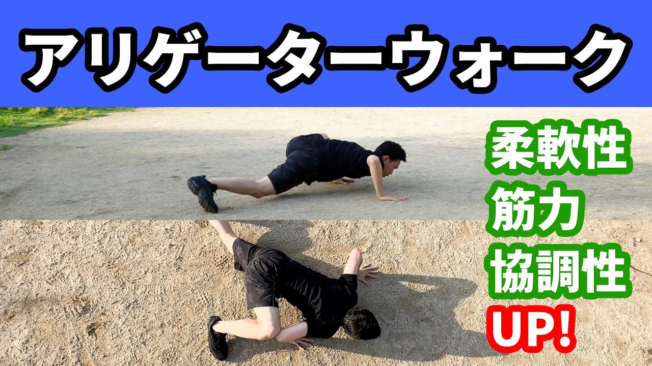 股関節と肩関節の柔軟性向上・筋力UPアリゲーターウォーク🐊