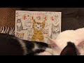 猫と本と雑談 もちベルナイト第10回20180218 大人のぬり絵猫づくし