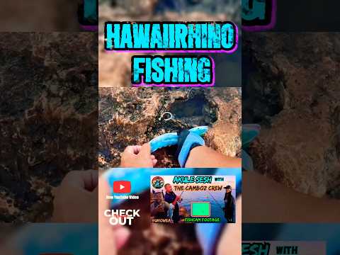 Why I LOVE To Use LAI For Slidebait Fishing Fishinghawaii Fishingmethods 