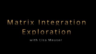 Matrix Integration Exploration: participants share their experiences