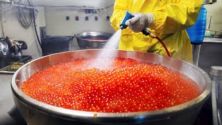 This is Why Caviar is So Expensive - Modern Fish Processing