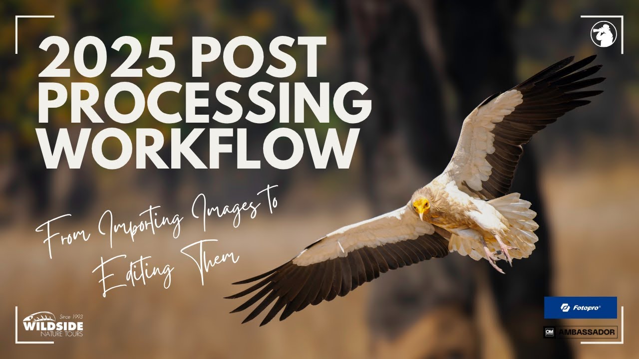 2025 Post Processing Workflow - YouTube