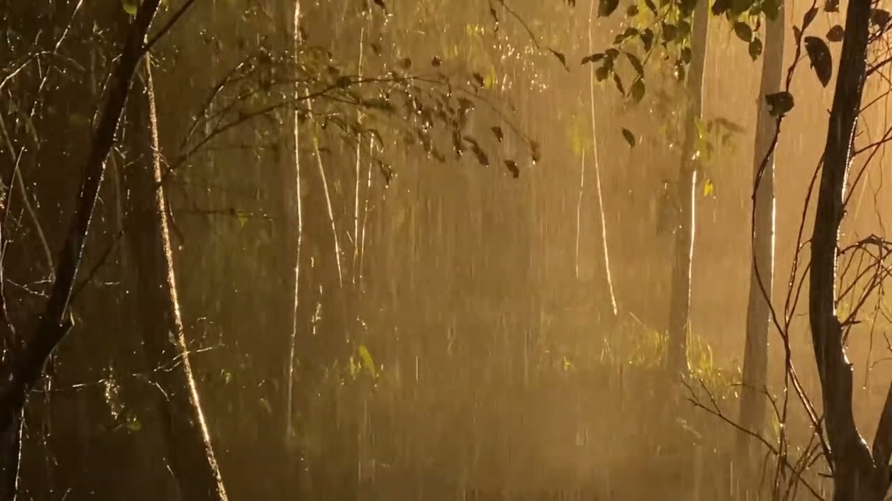 Goodbye Strain to Fall Asleep Quickly with Heavy Rainstorm & Seething Thunder on a Tin Roof at Night