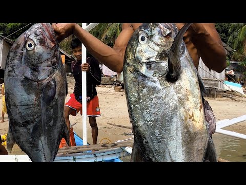 Video: Bawal Sa Pangingisda Sa Pag-ikot Sa Tagsibol