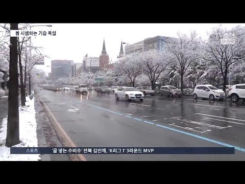 대구 111년 만에 3월 최대 적설…"믿지 못할 정도로 신기"