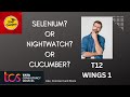 which course we have to opt for T12 || selenium or Nightwatch or cucumber T12 | Which course for T12