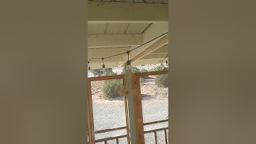 Monkey Spider fixing web