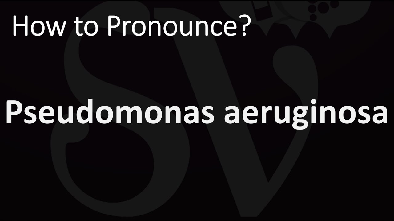 How to Pronounce Pseudomonas aeruginosa? (CORRECTLY) - YouTube