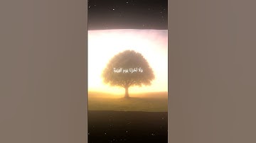 القارئ/محمد اللحيدان/سورة آل عمران/194_195/🥀🖤