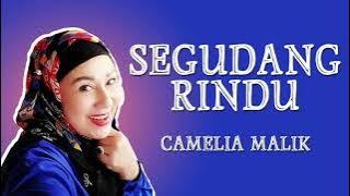 CAMELIA MALIK - SEGUDANG RINDU || DANGDUT POPULER || TBMusic II
