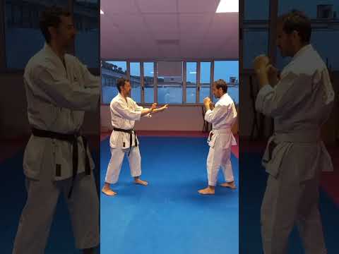 UECHI RYU ITALIA