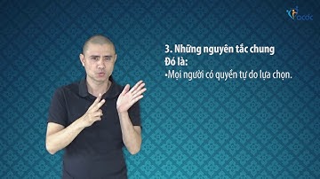 Công ước quốc tế về Quyền của người khuyết tật - Điều 3.1, Những nguyên tắc chung