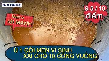 TÔM QUẢNG CANH, phần 4: Cách ủ  MEN VI SINH, 1 gói xài được 10 công