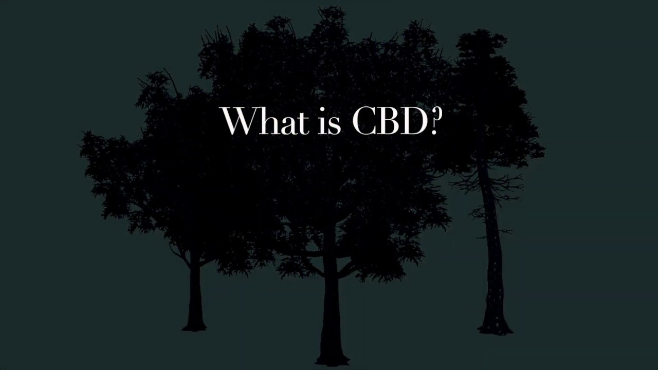 The Treehouse Remedy: What is CBD?