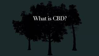 The Treehouse Remedy: What is CBD?
