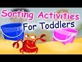 Sorting and Identifying Beach Items