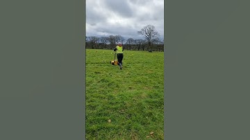 GPR utility surveyor video